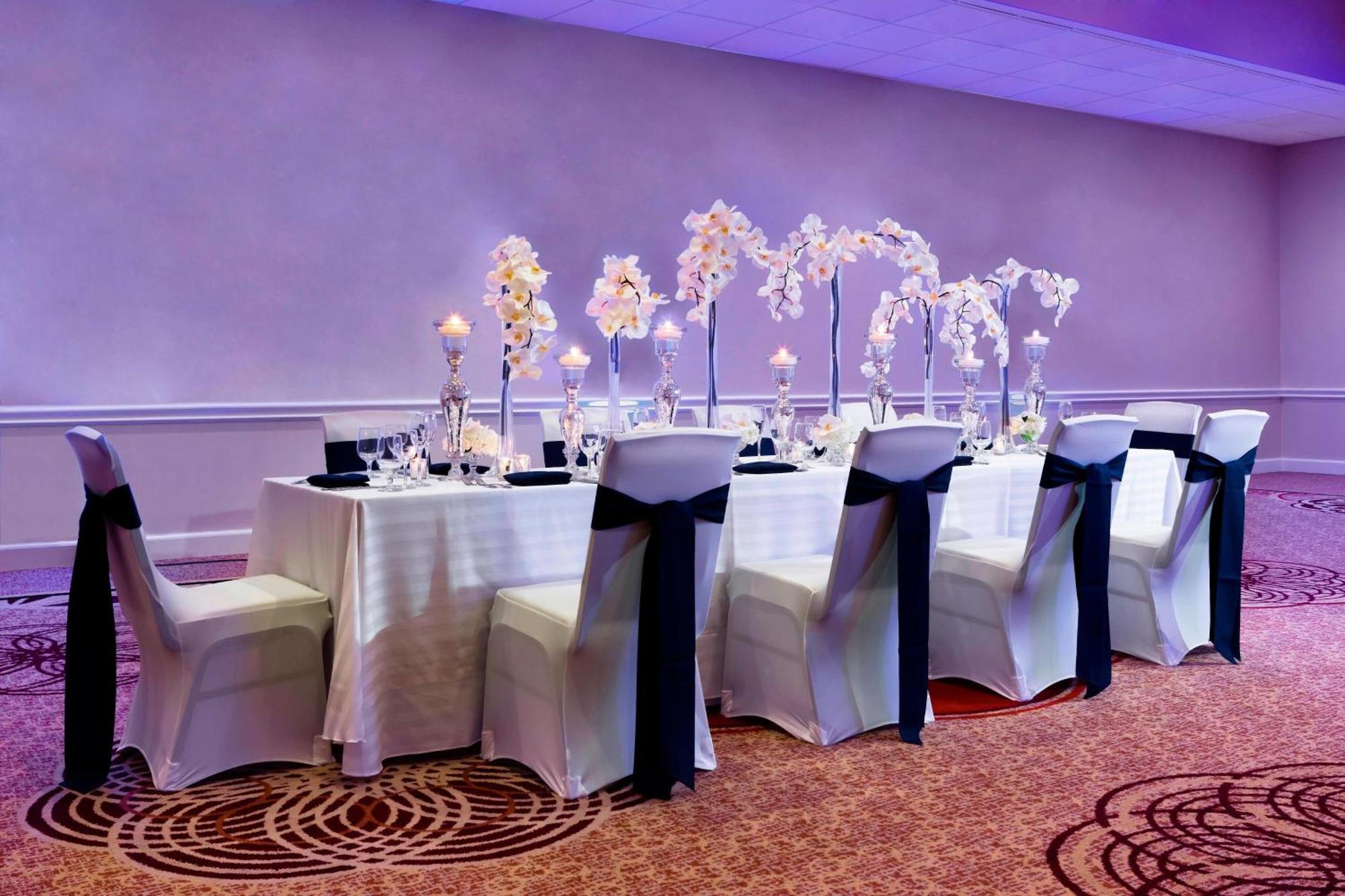 Sheraton Tampa Brandon Hotel Ngoại thất bức ảnh